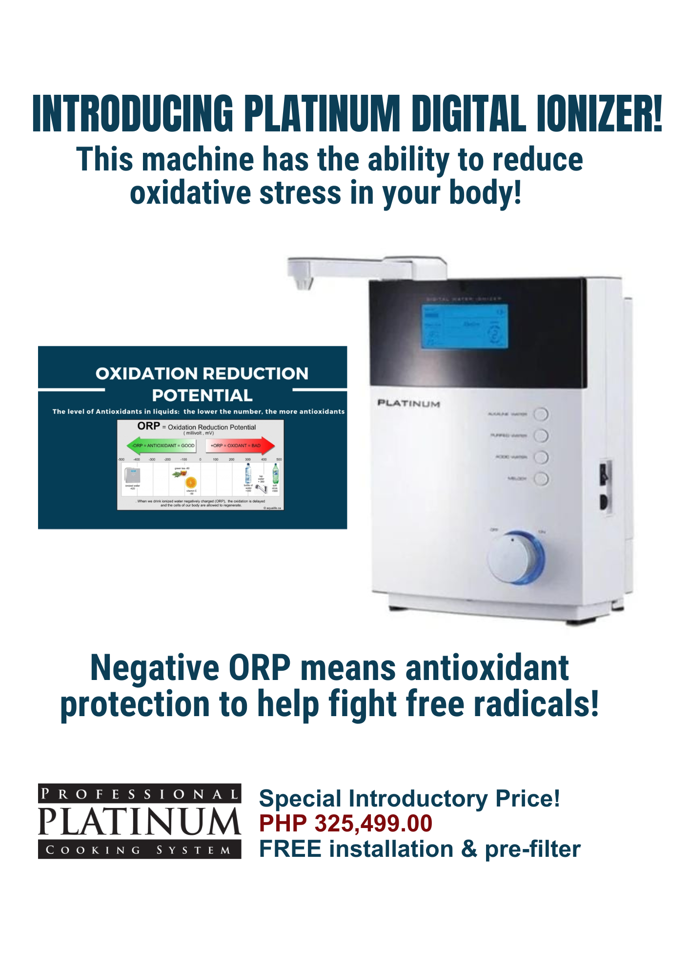 Platinum  Digital Ionizer